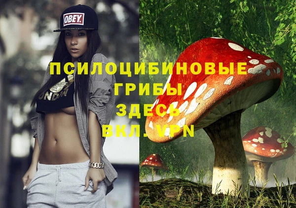 первитин Богородск