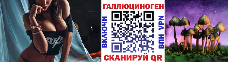 цена   Малоярославец  Галлюциногенные грибы MAGIC MUSHROOMS 